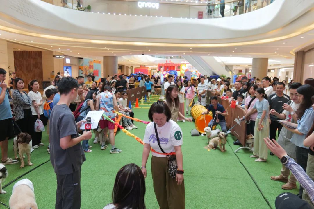 World Animal Day marked in Longhua,longhua,longhua district,Longhua Government Online