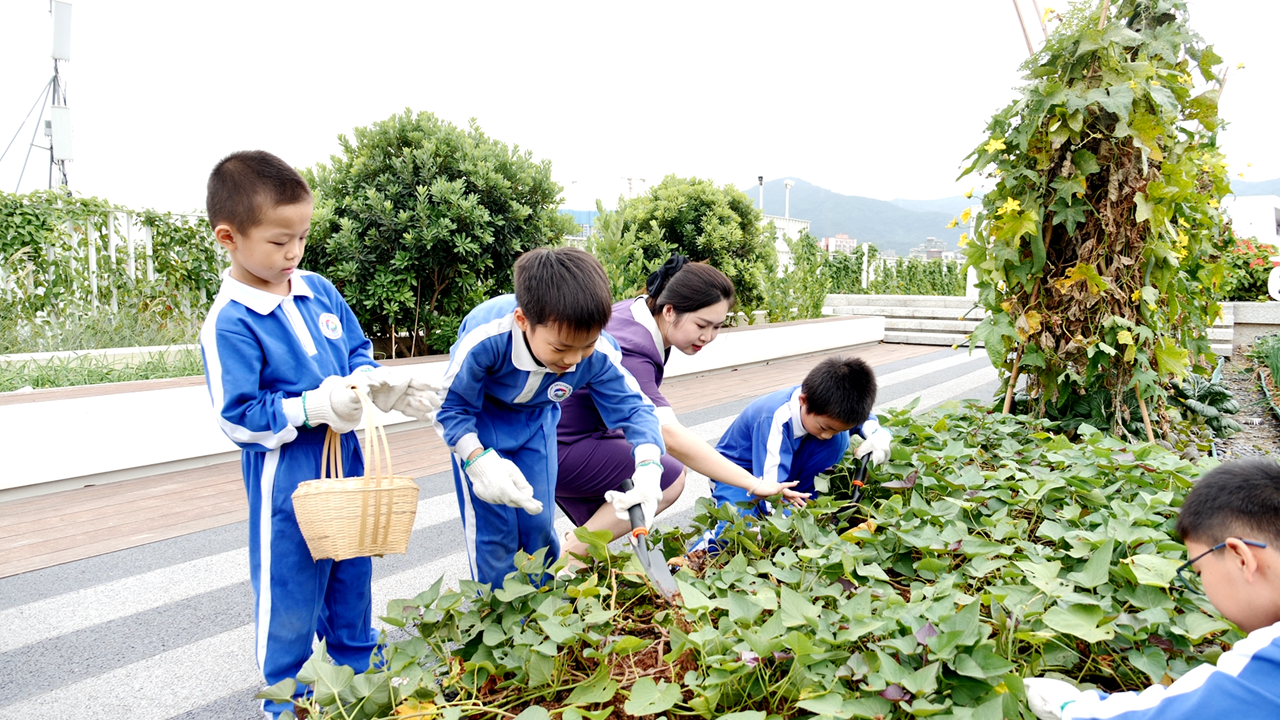Campaign moves ‘botanical garden’ to schools,longhua,longhua district,Longhua Government Online