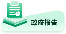 政府报告