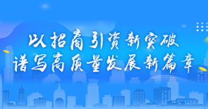 龙华区优化营商环境专题
