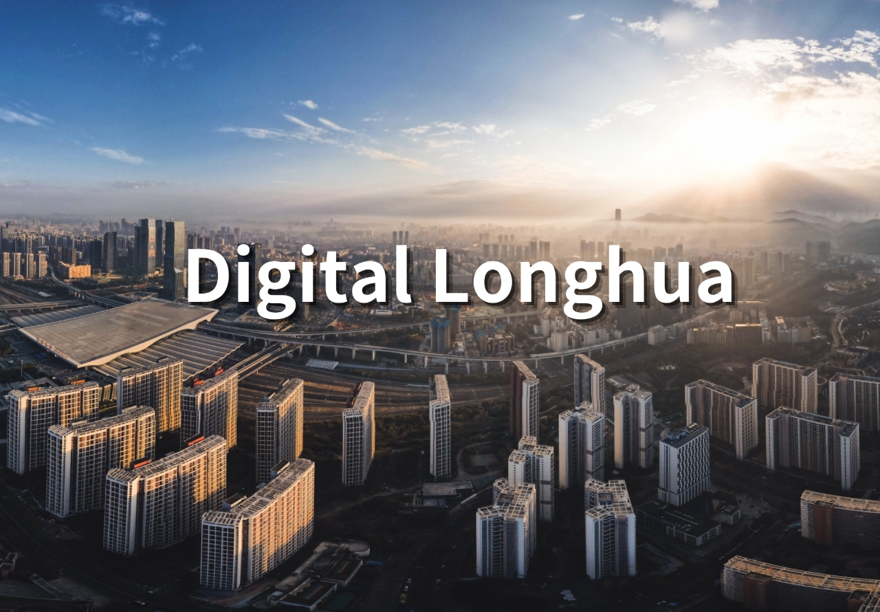 Digital Longhua