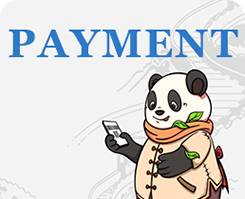 Guide in Payment Services in China