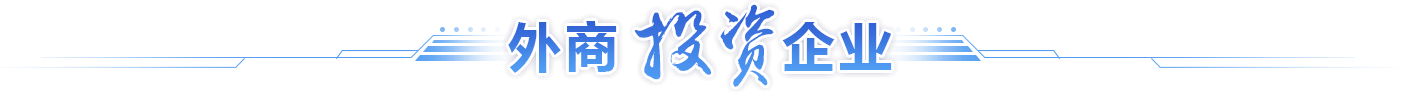 外商投资企业