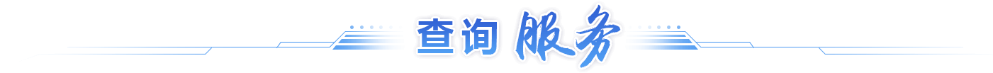 查询服务