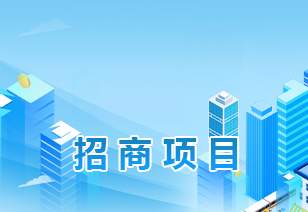 招商项目