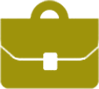 就业领域