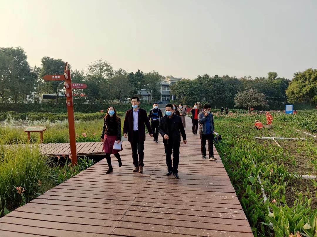区政协志毅副主席率队到清湖人工湿地调研观澜河生态走廊建设情况.jpg