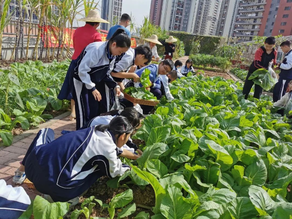 微信图片_20210310090903.jpg
