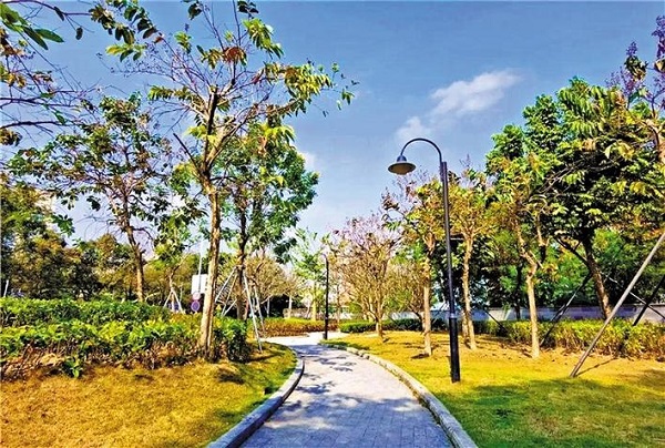 福城街道“口袋公园”魅力大 社区居民快乐多1.jpg