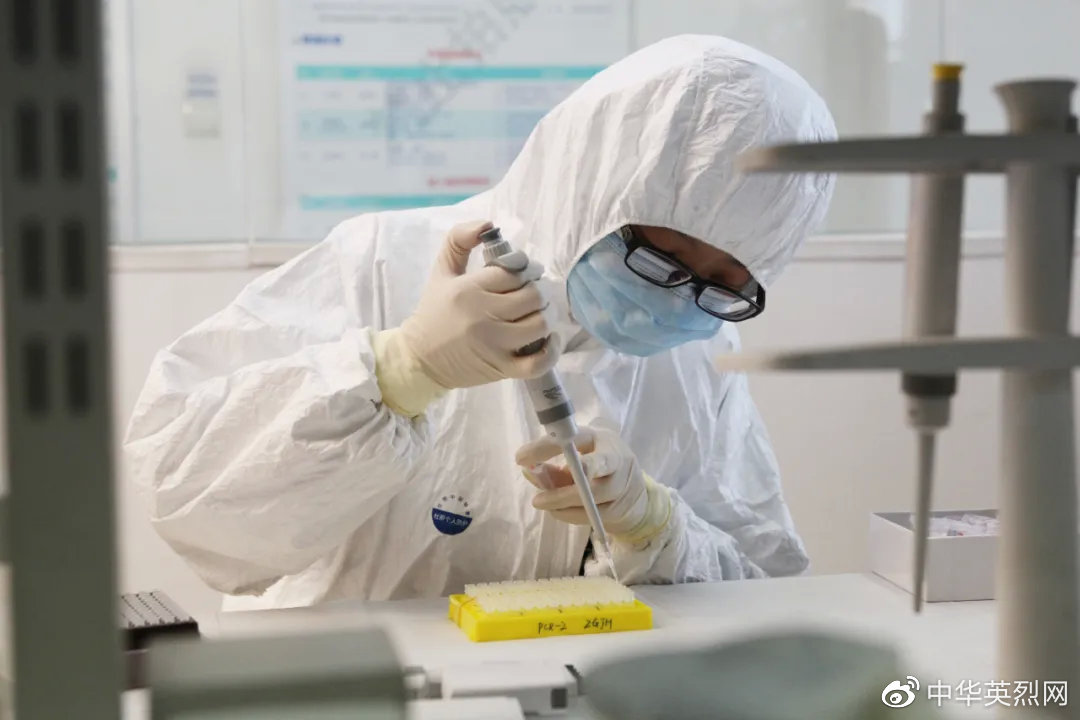 军事科学院军事医学研究院王升启团队正在开展DNA鉴定工作。军事医学研究院 供图