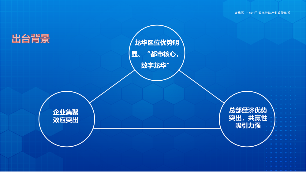 （总部经济）1+N+S数字经济政策_02.png