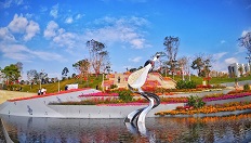 白石龙音乐公园
