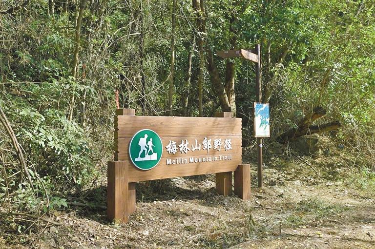 龙华新增四条郊野径，一条还有故事线
