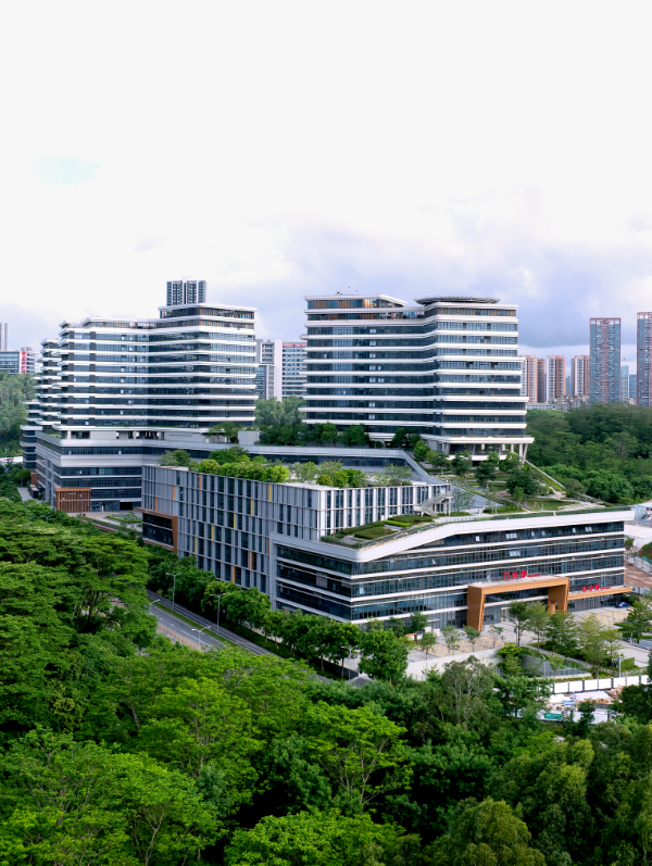 09.jpg