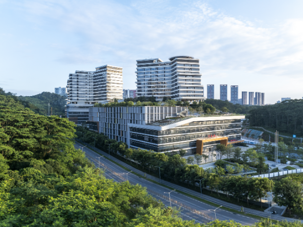 深圳市龙华区综合医院项目图片001.jpg