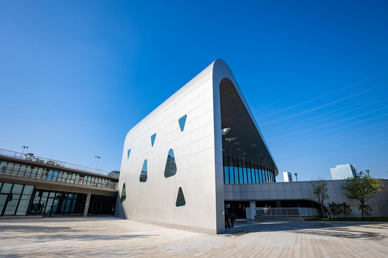 10020621 (2).png