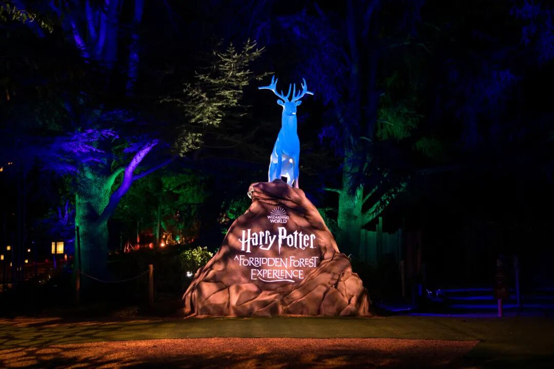 ‘Harry Potter: A Forbidden Forest Experience’ to open in October