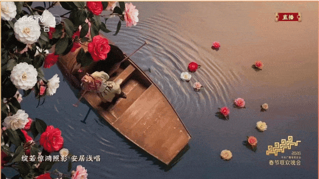 Longhua companies power visual spectacle of 2026 Spring Festival Gala,longhua,longhua district