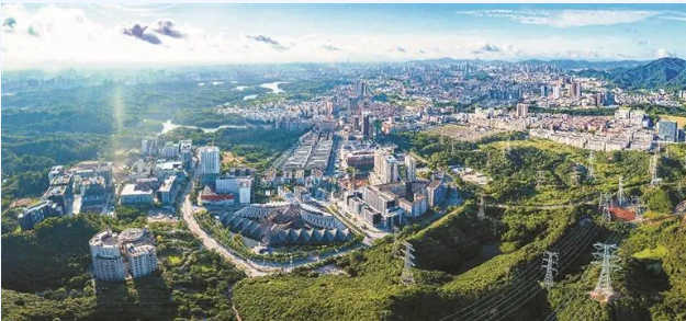 从央视报道到走红全球，龙华赛博“特产”来自这个街道，龙华区，龙华政府在线，龙华区政府在线