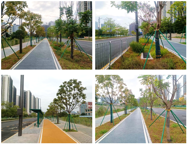 福花路(观兴西路-观兴东路)工程-龙华政府在线