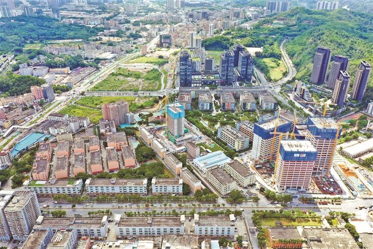 龙华区一季度完成土地整备20.39公顷，龙华区，龙华政府在线，龙华区政府在线
