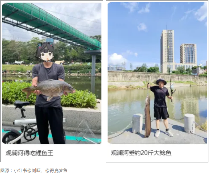 2026-07-03_17-31-07.png