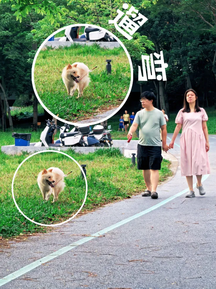 图片11.png