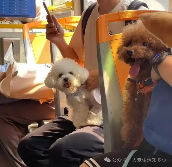 微信图片_20260710172829.png