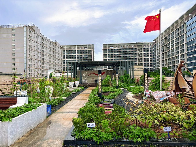 楼顶有菜园、夜里有课堂,福城街道兴富社区党群服务中心成为居民“第二个家2.jpg