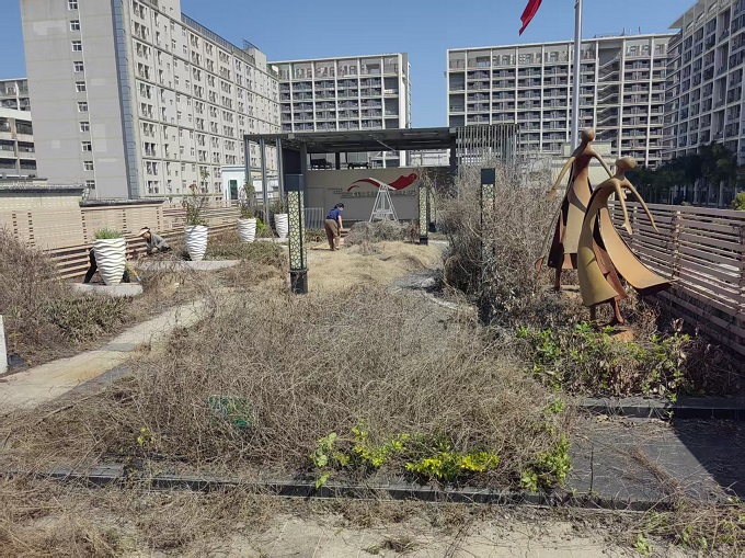 楼顶有菜园、夜里有课堂,福城街道兴富社区党群服务中心成为居民“第二个家1.jpg