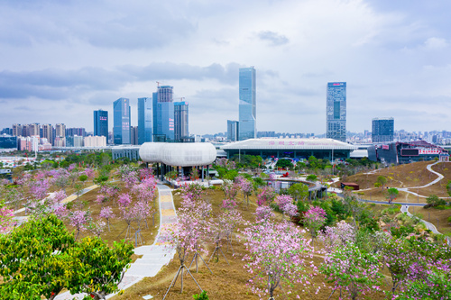 北站中心公园.jpg