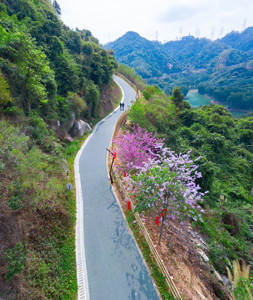 阳台山绿道.jpg