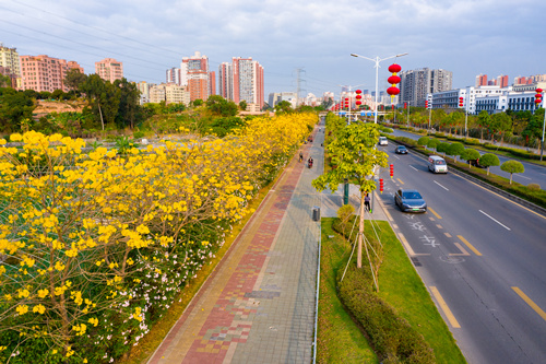 观天路.jpg