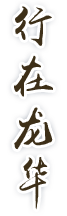行在龙华