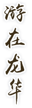 游在龙华