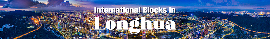 International Blocks In Longhua